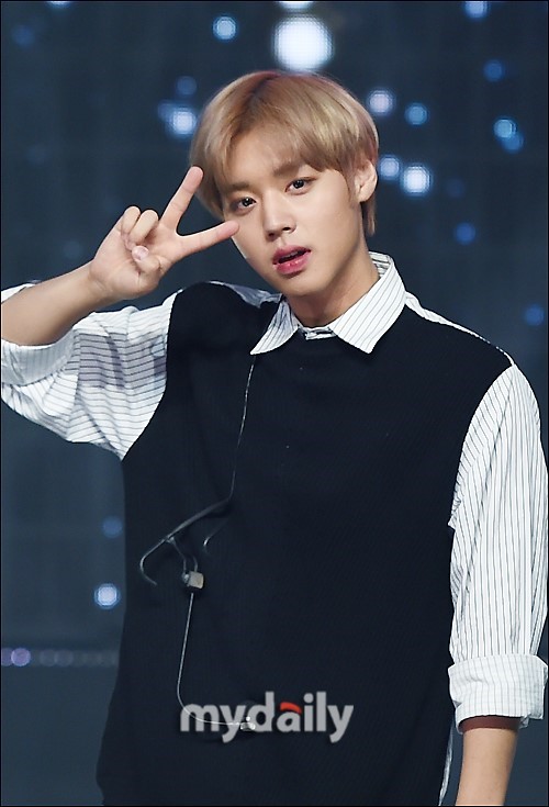 影视 综艺【wanna one】活动结束 各成员即将开启演艺事业第2幕 朴