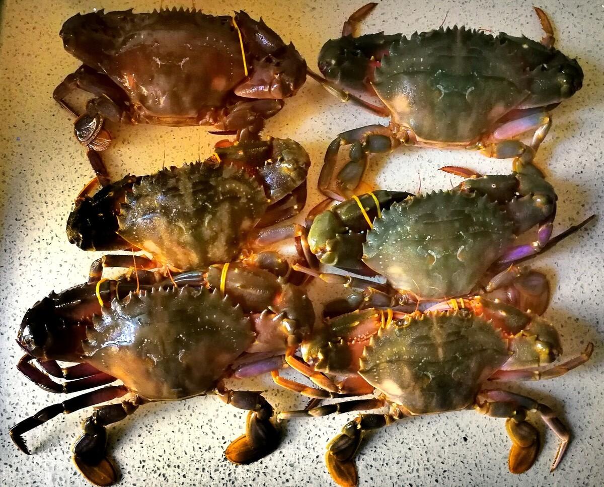 糯米梭子蟹的做法_【图解】糯米梭子蟹怎么做如何做好吃_糯米梭子蟹家常做法大全_升升小厨_豆果美食