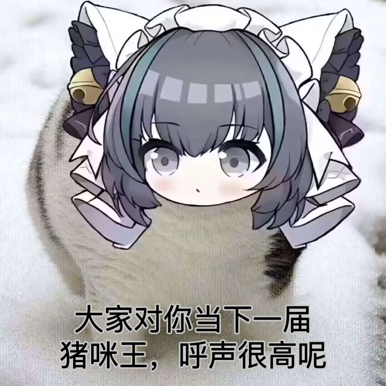 自制柴郡表情包(2)