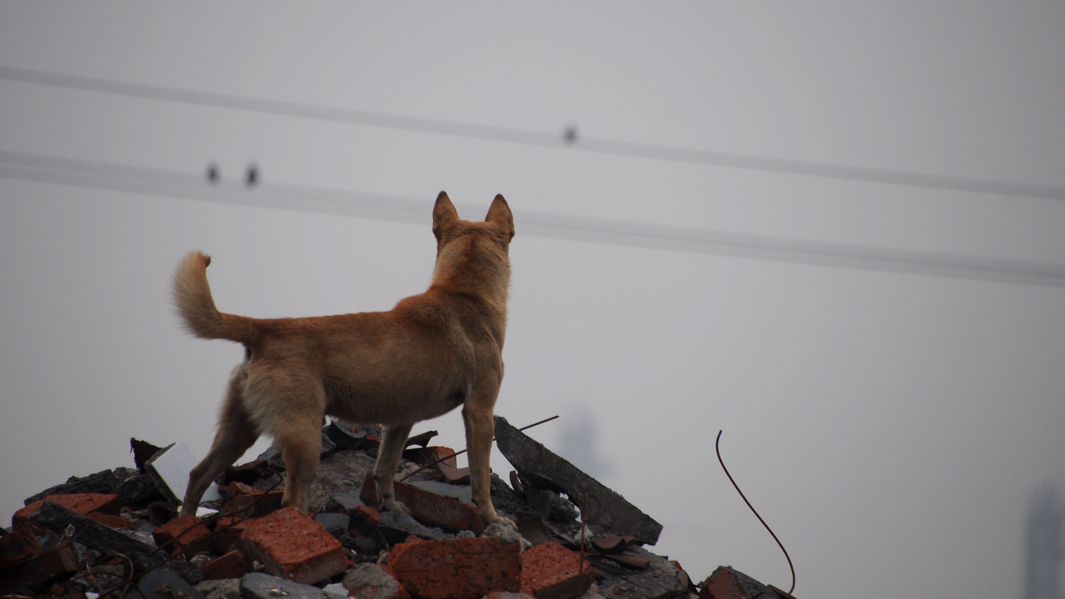 温梦 2 6 哔哩哔哩