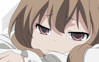 科普大全:二次元中形容妹子的词汇,哪一种是你