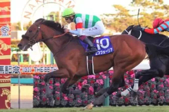 21年 谁是日本第一种公马 哔哩哔哩