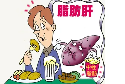 体检时查出脂肪肝怎么办？早预防，早治疗是关键- 哔哩哔哩