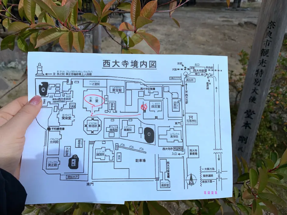 Kinki Kids 堂本家专供关西 京都 奈良 大阪 旅行攻略之 四 哔哩哔哩