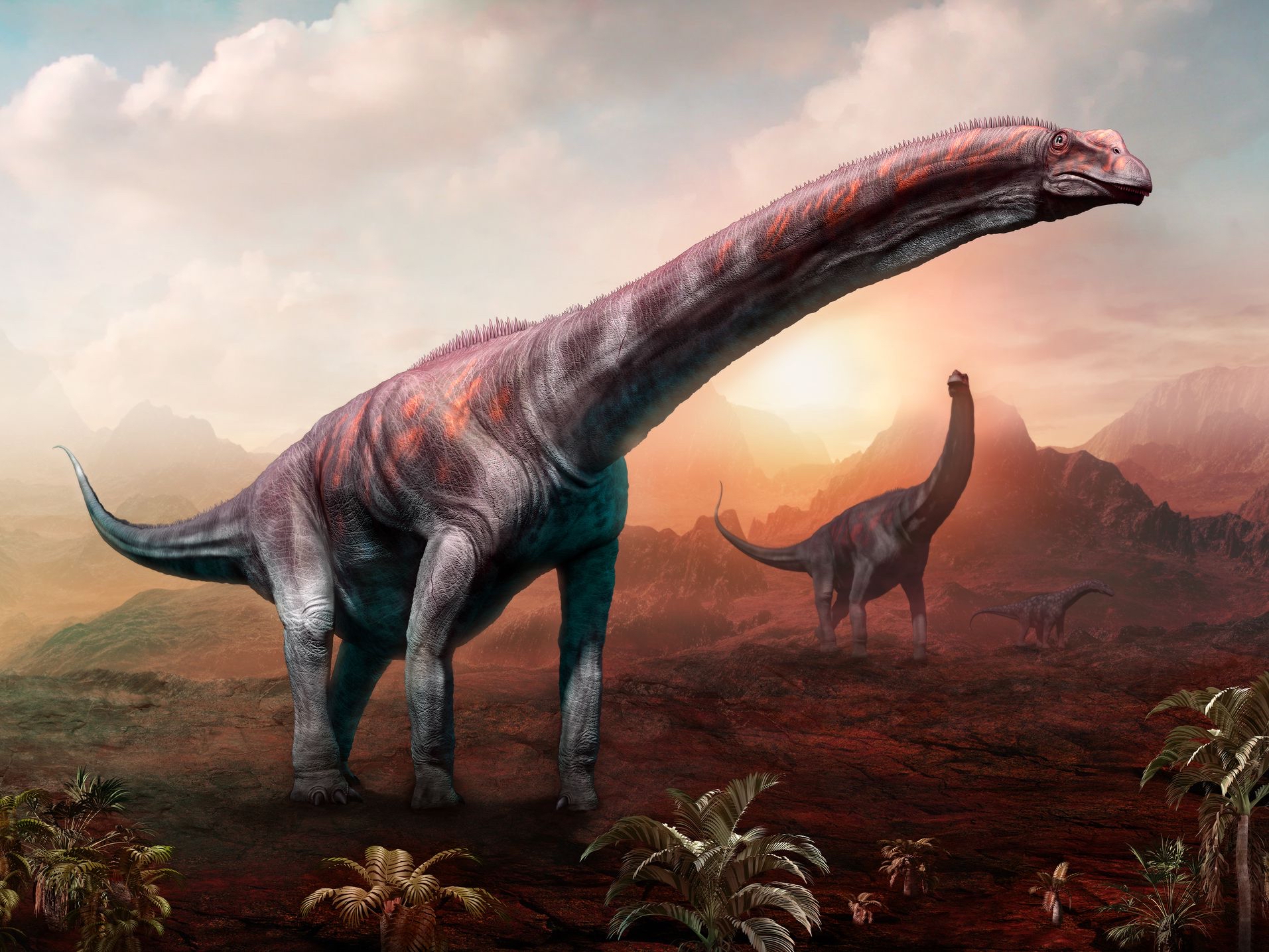 寻找最大的恐龙1：从易碎双腔龙说起 - 知乎