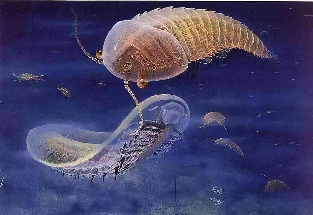 17亿年前海洋生物的进化发生了这些变化