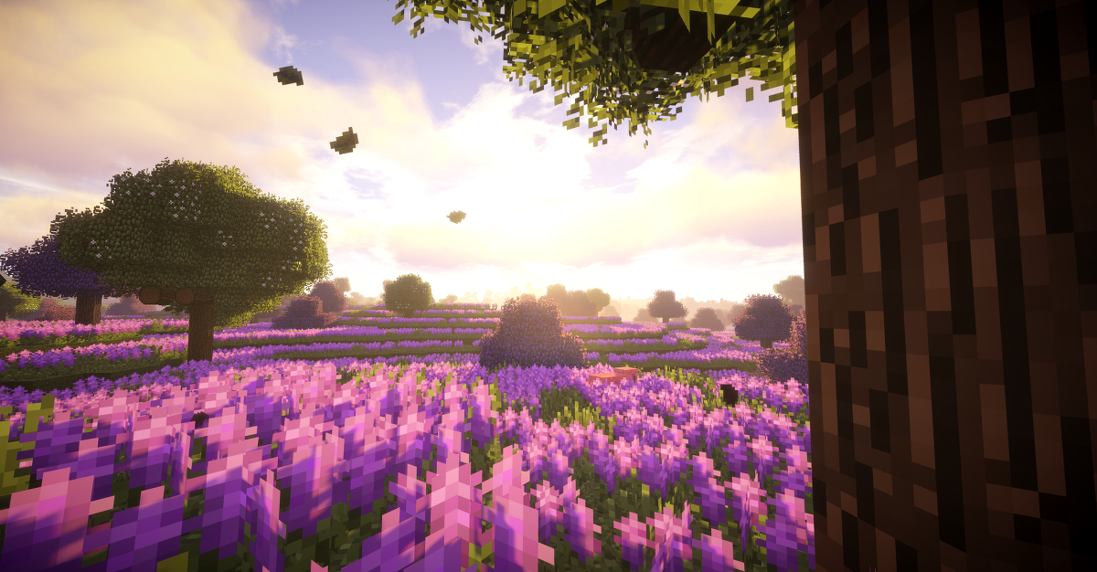 Minecraft中每一帧都是壁纸 5 - 哔哩哔哩