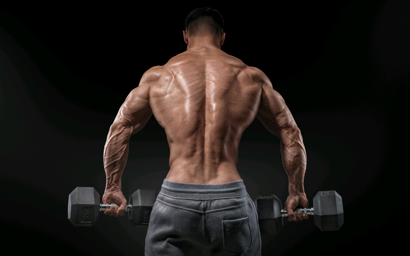 脂肪能转化成肌肉吗?