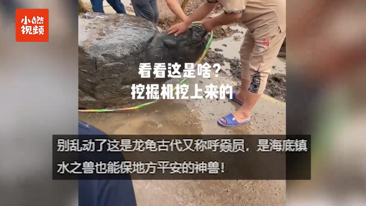 王八驮石碑的含义_下水王八嘴对嘴是含义_北京乌龟驮石碑图片