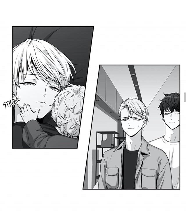 爱情是幻想98星儿哭了!