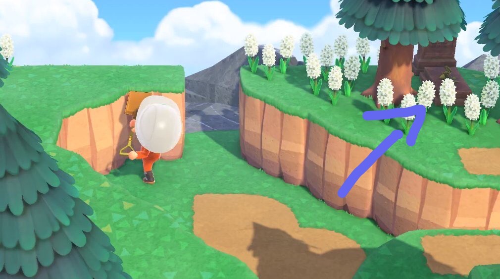 【ns|动物之森】首发383位村民!"新地平线" 始动角色新纪录!