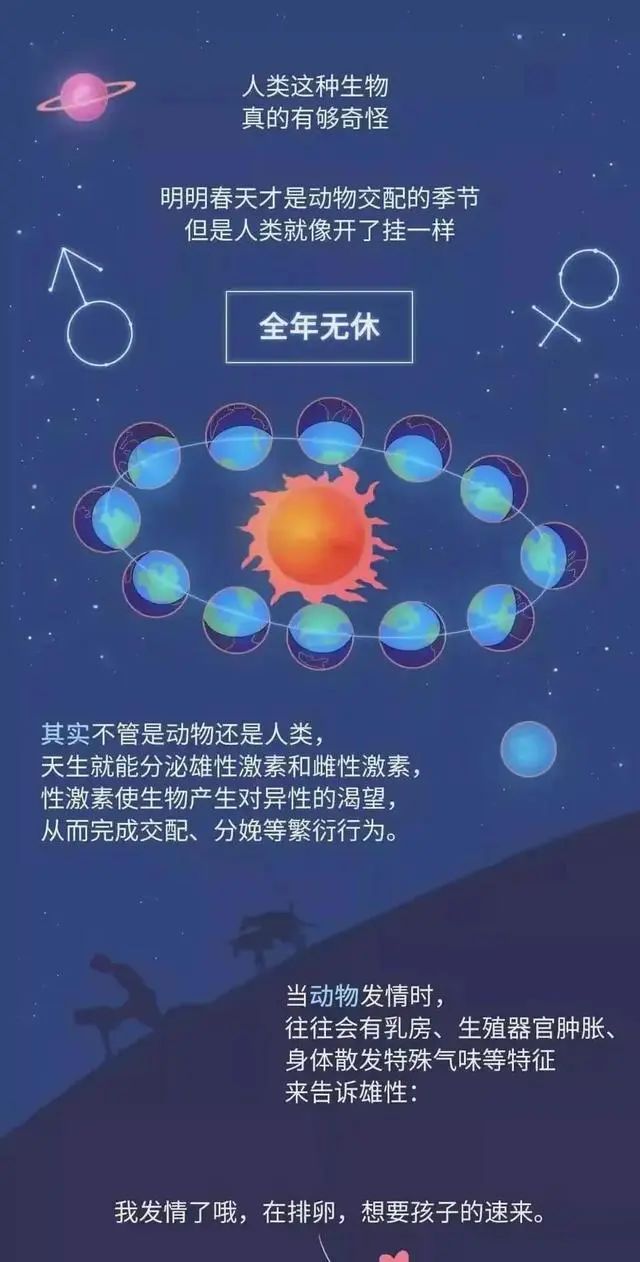 其他动物都有“发情期”，为何人类“全年无休”？
