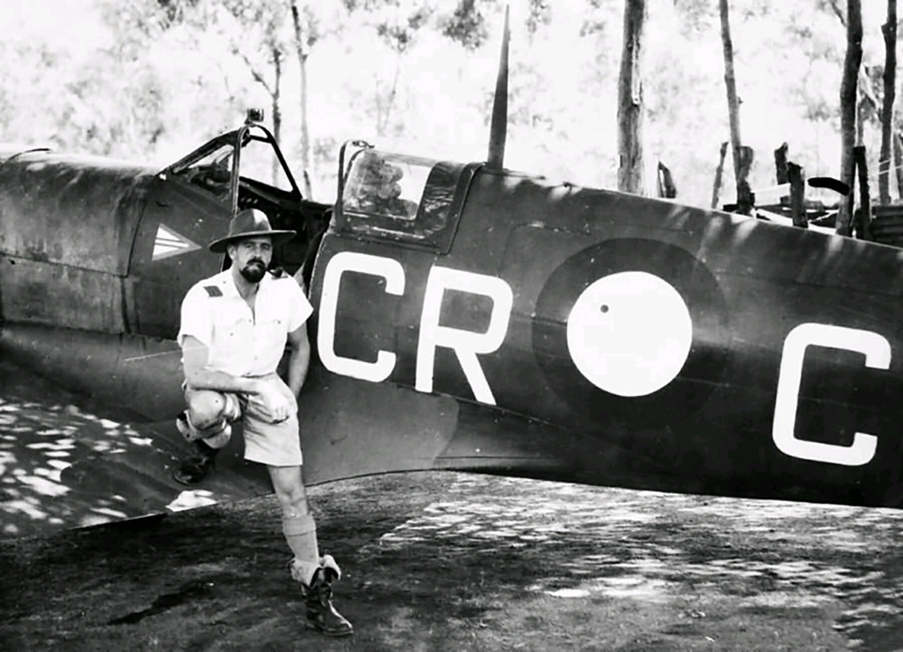 英国二战王牌飞行员图片