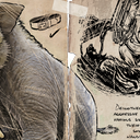 方舟生存进化模组生物介绍：恐象！（ARK Additions：The Collection！）