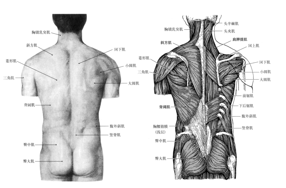 QQ截图20171202132951.png