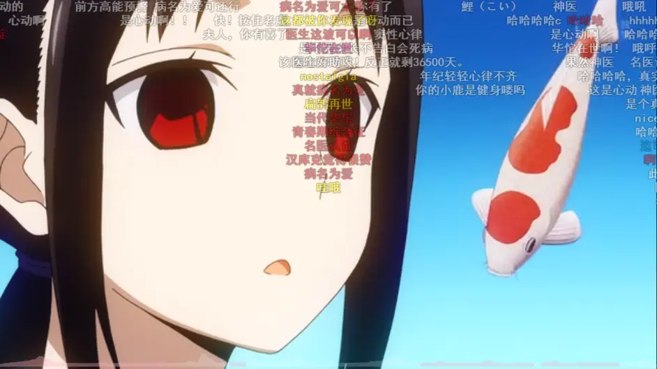 辉夜大小姐想让我告白 浅谈恋い为什么会与鯉有关系 哔哩哔哩