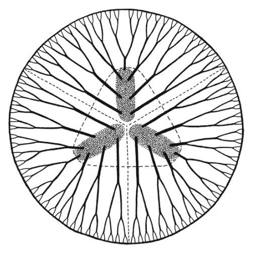 白海飞流紫塞空