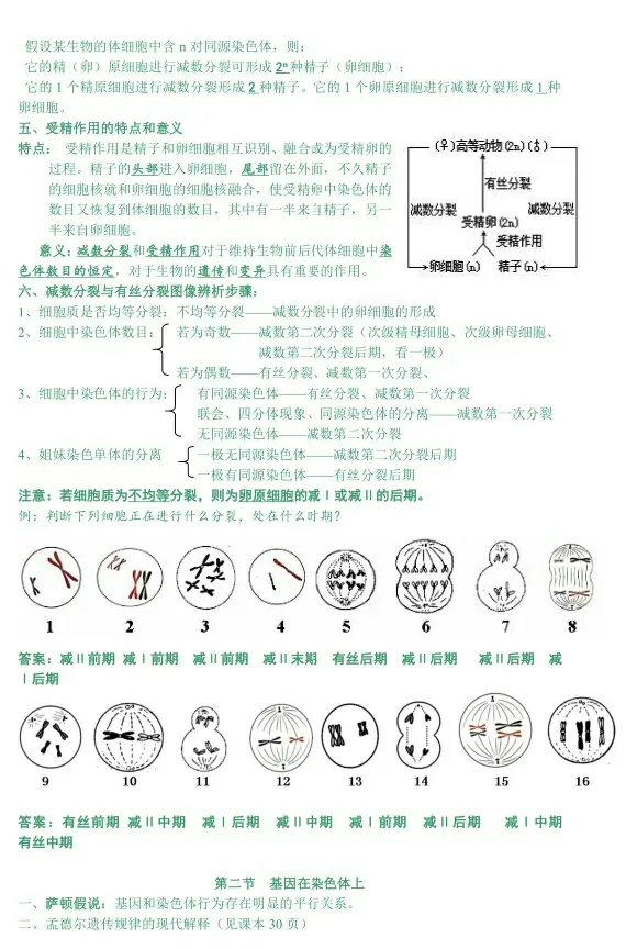 B站学习之高考生物必修二知识点总结 哔哩哔哩