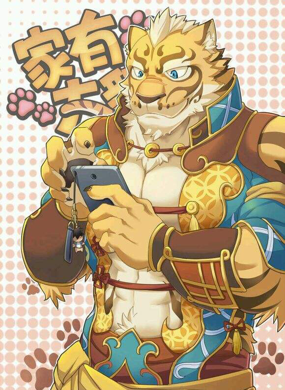 杂志图推荐虎爷(二)