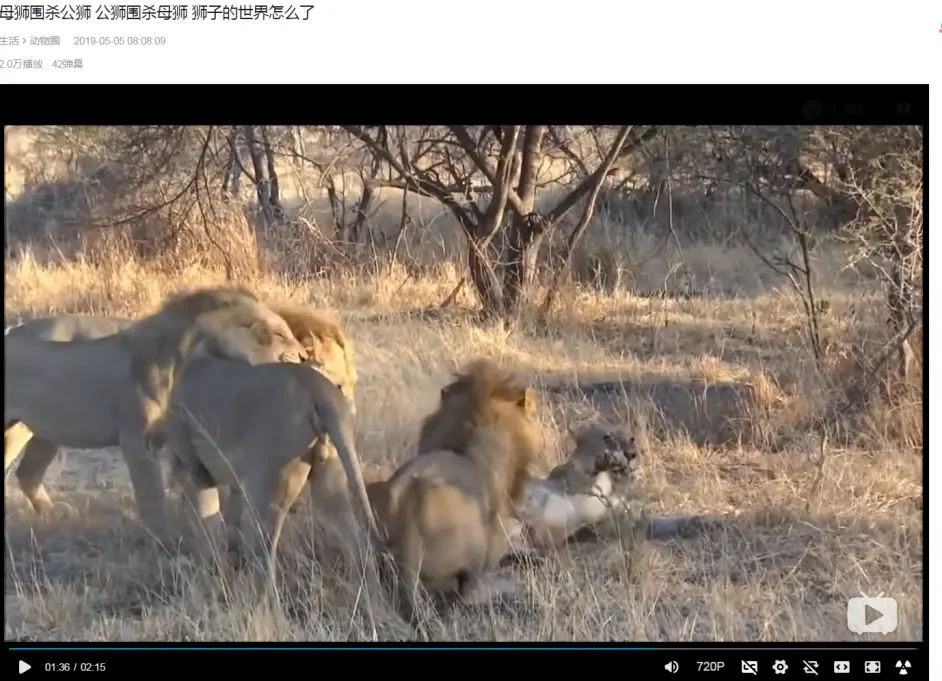 坏男孩老六t先生现在在b站被黑的很厉害纪录片得背锅 哔哩哔哩 坏男孩老六t先生现在在b站被黑的很厉害纪录片得背锅 哔哩哔哩