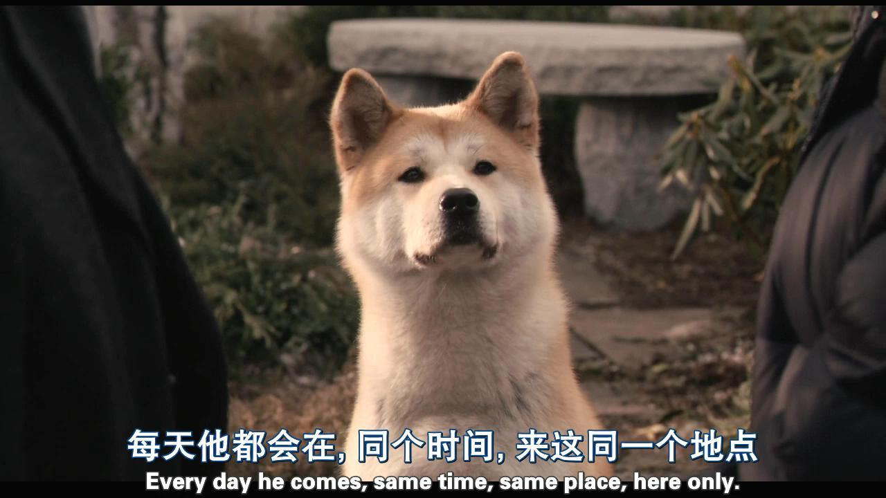 八公犬 日本电影图片