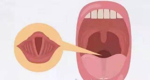 噪音科普传播|关注男孩变声——小小少年仗剑走天涯 - 哔哩哔哩