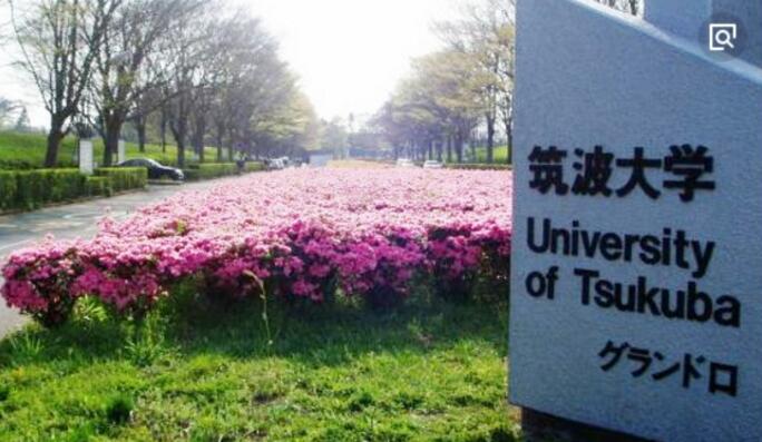 筑波大学的留学经历 哔哩哔哩专栏