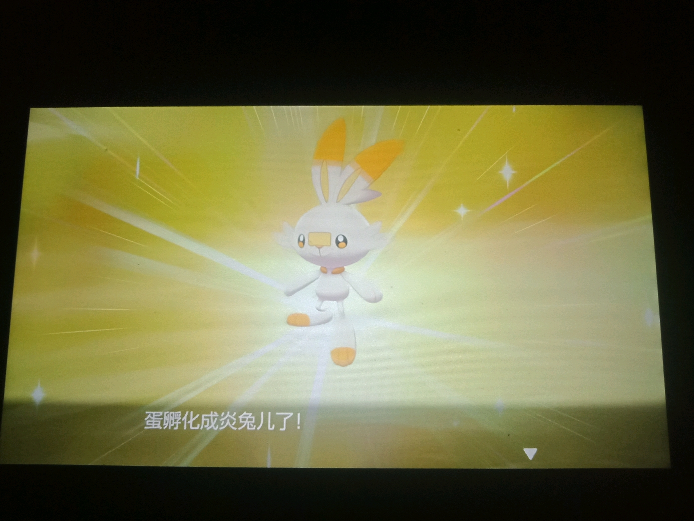 闪光梦特炎兔儿