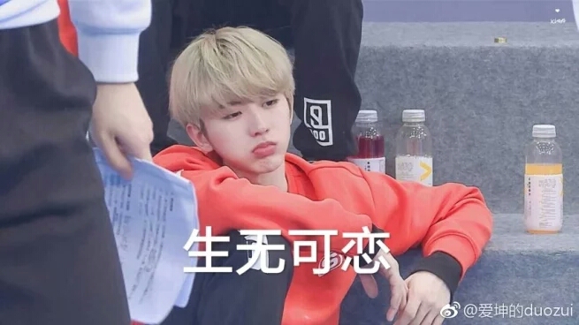 【蔡徐坤】 我想我的葵葵酱了