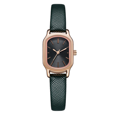 dk手表风靡欧美 今携手菲登袋鼠电子商务开启中国之旅