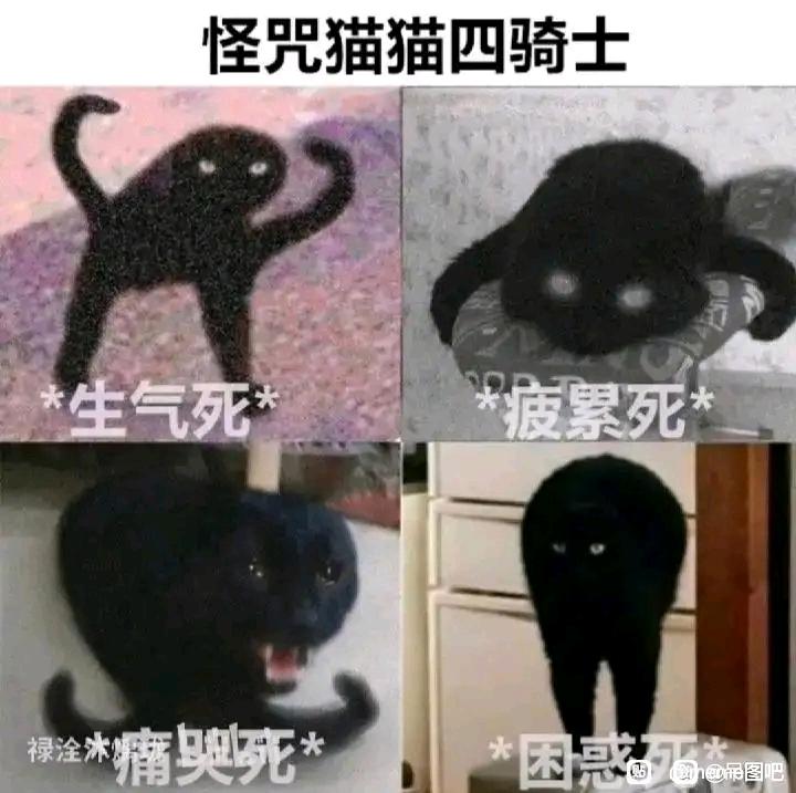 猫猫meme图1（图片版） - 哔哩哔哩