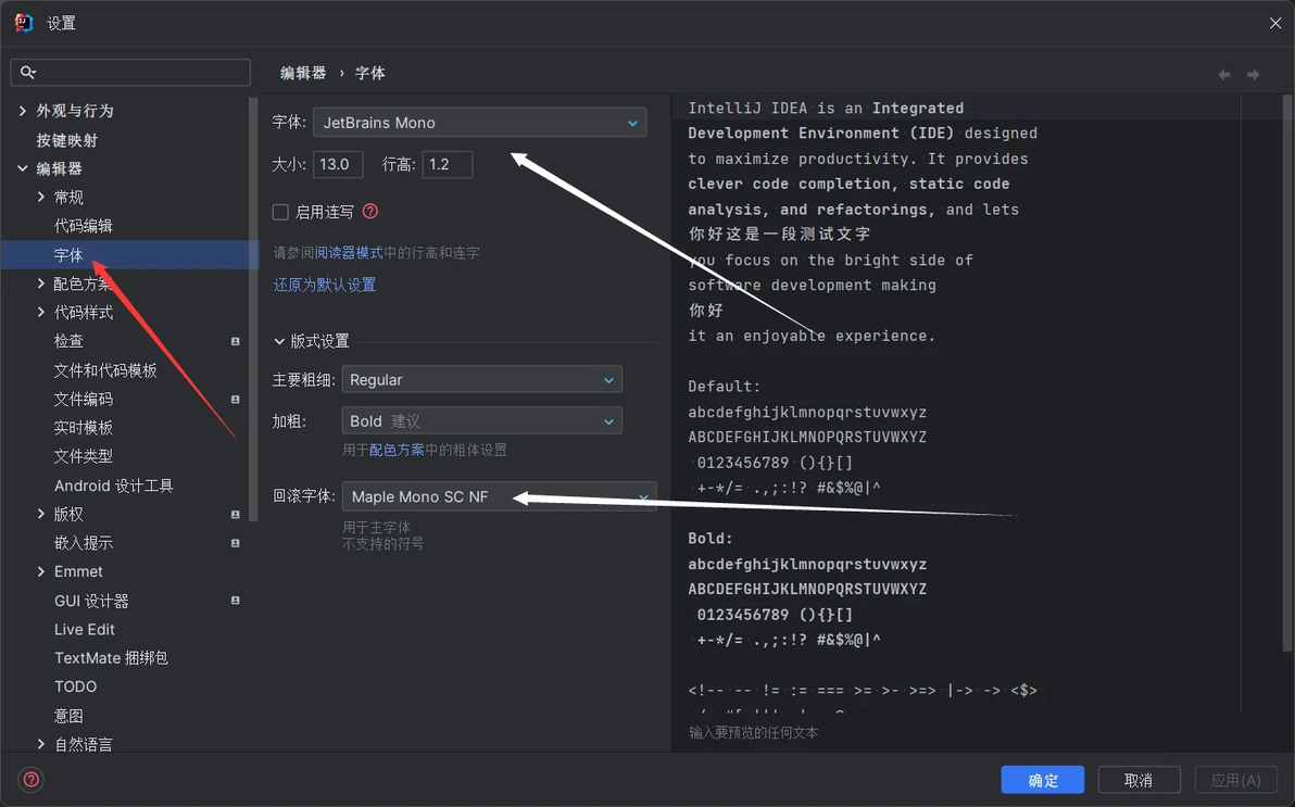  idea vscode jetbrains mono maple mono 