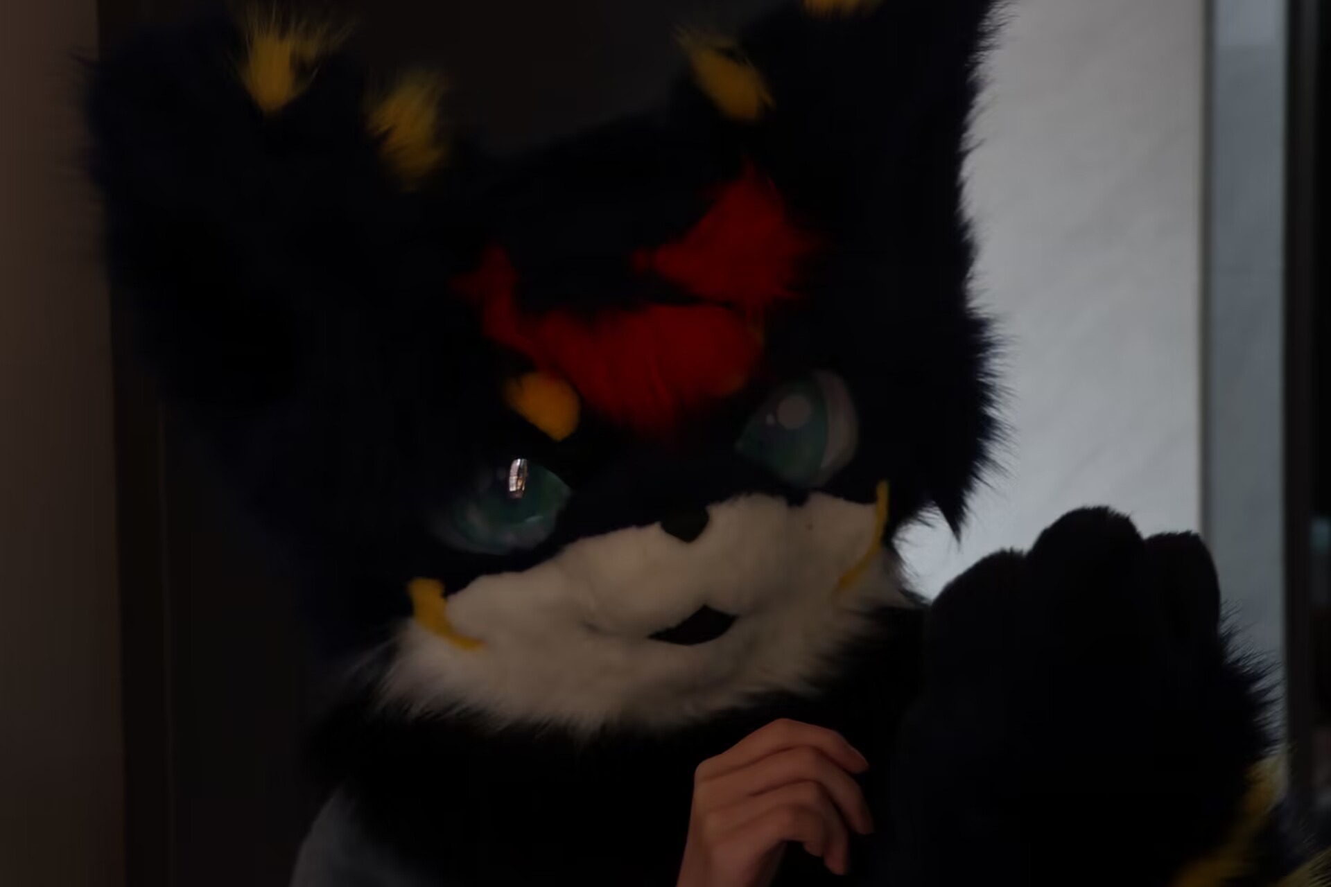 【毛毛图鉴】四條晴彥 哔哩哔哩