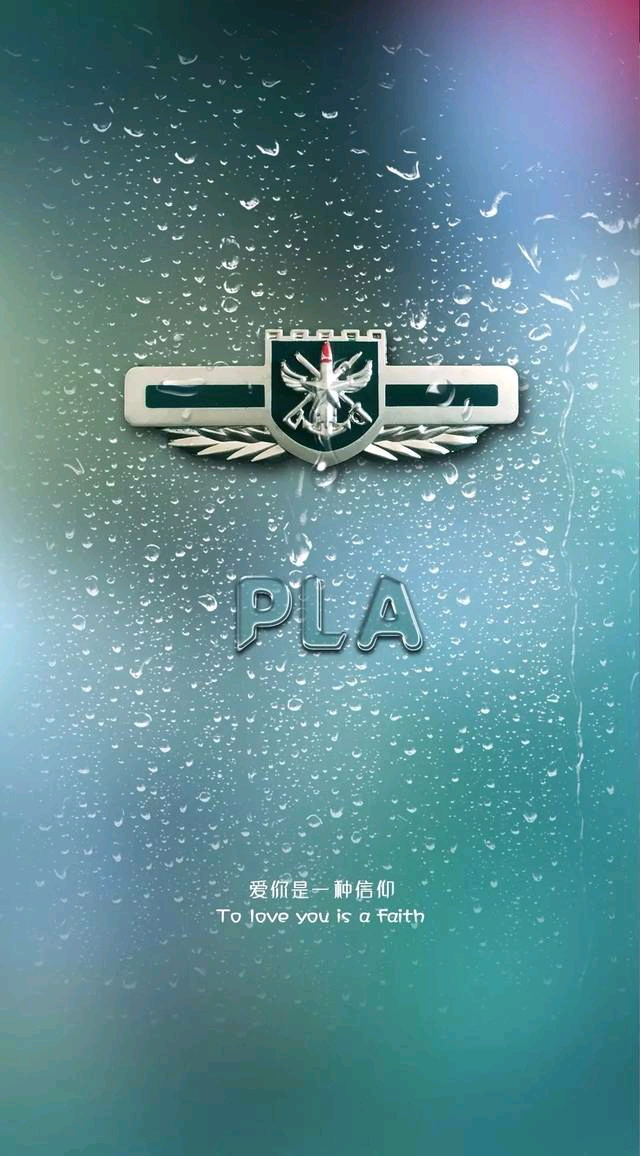 陆军PLA壁纸 胸标图片