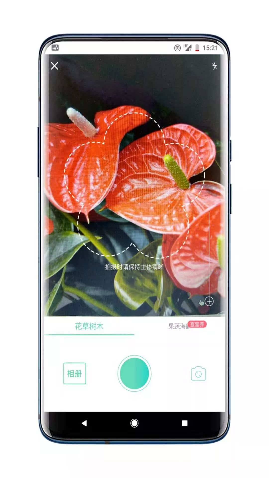 实用工具 | 用一次就上瘾的识花神器,还有更多的