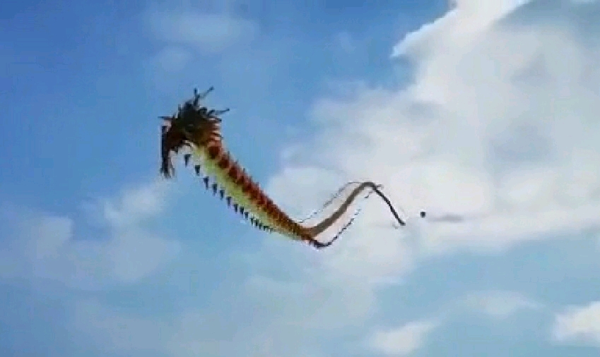 2021牛年,中国将是一举腾飞的之年.龙也是代表了中国的吉祥物.