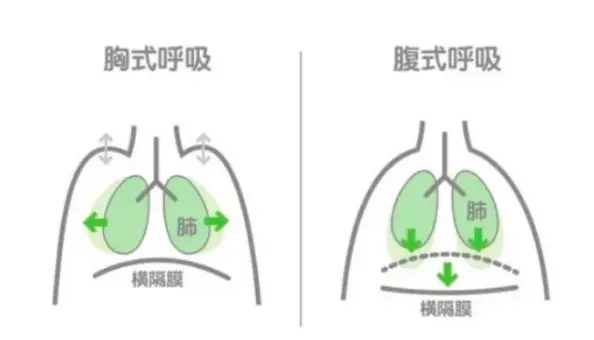 练瑜伽的时候到底要怎么呼吸 收肚子就憋气 我窒息了 哔哩哔哩