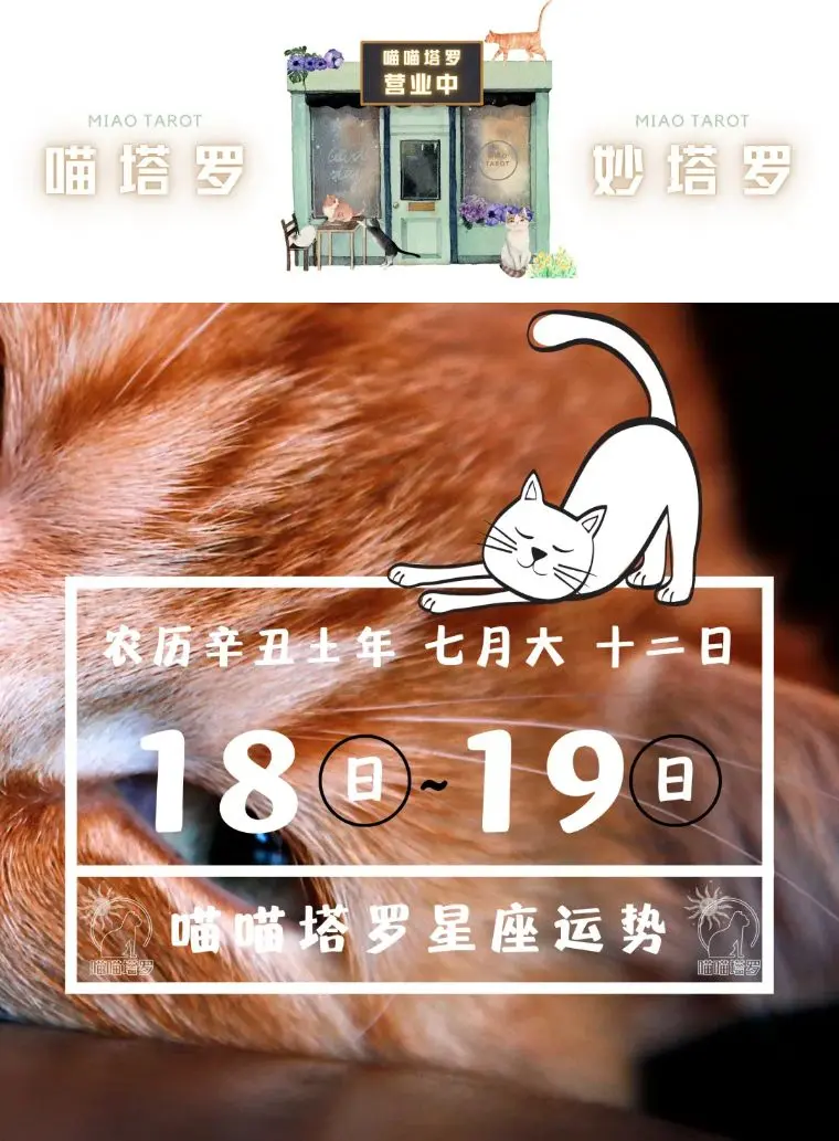 十二星座运势 8月18日 8月19日 哔哩哔哩