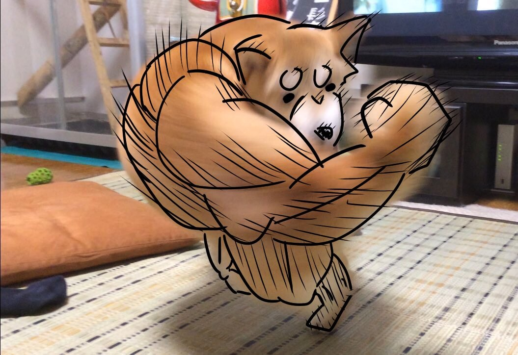 原因是有网友看见这张图只好觉得很像一只肌肉柴犬刚刚打出一拳的样子