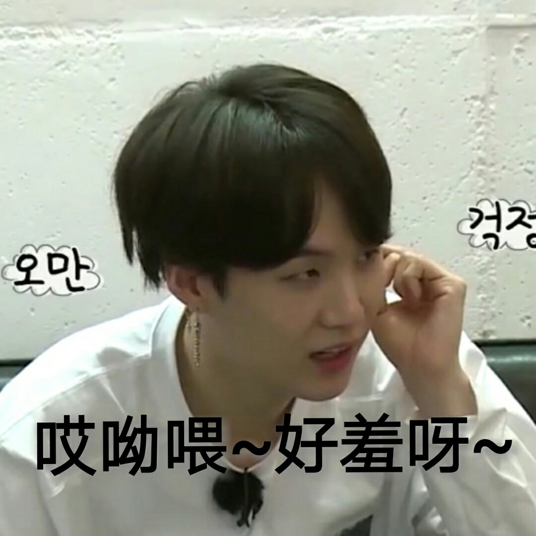 ¥防弹少年团.朴智旻$糯米……团子.精灵？？！（长~~~）