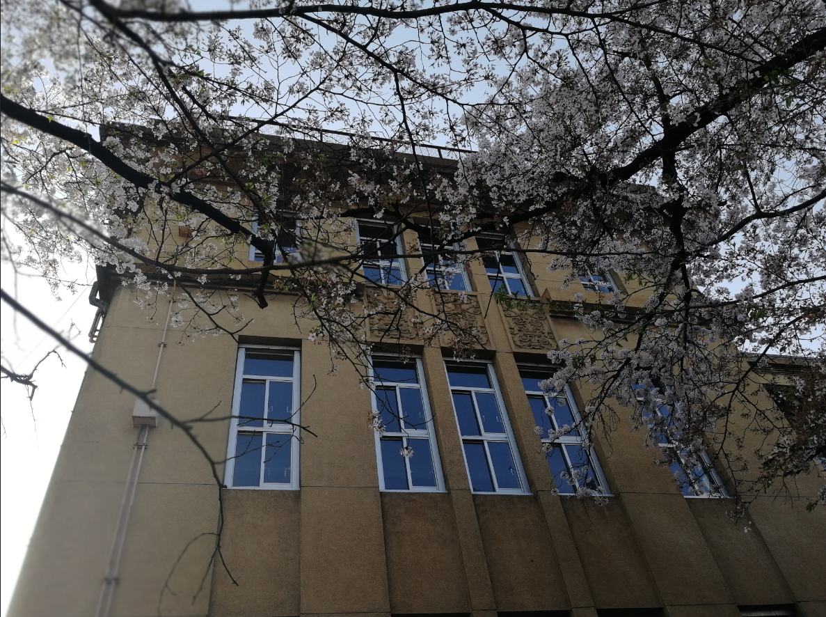 【下】梦想中的"友枝中学"在京都大阪寻找小樱的足迹