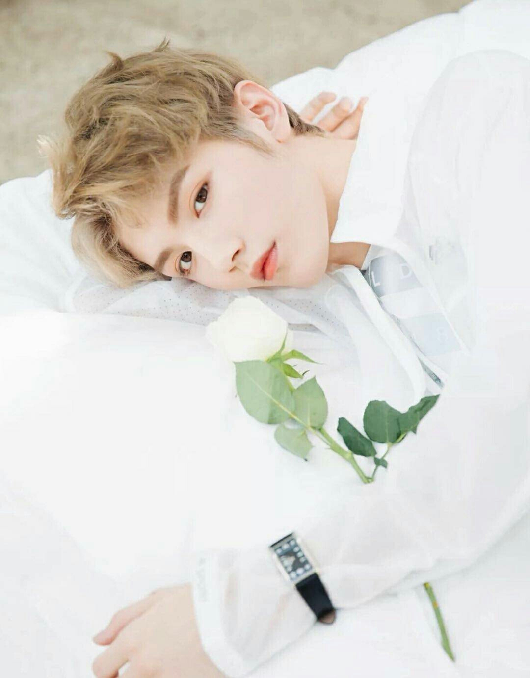 想成为你的糖啊(灵超×你)