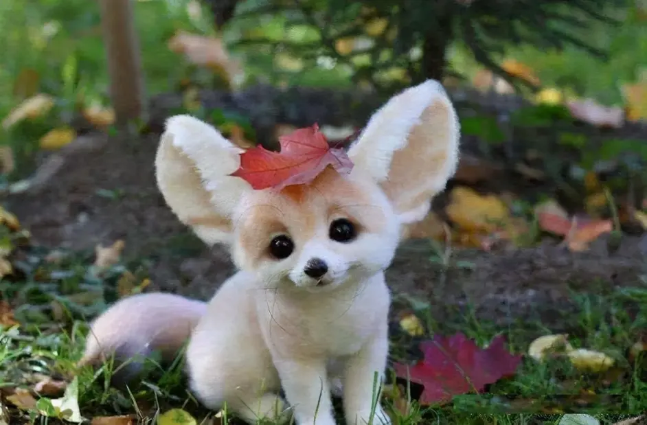 Cnn评选的世界最可爱的野生动物 第一名实至名归 大熊猫榜上有名 哔哩哔哩