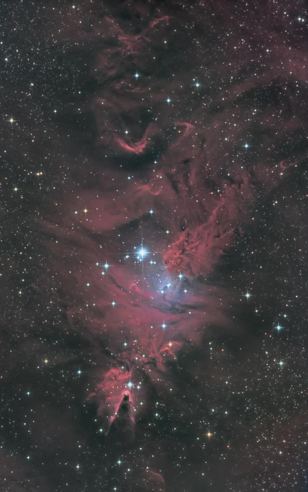 cone nebula fox fur nebula(圣诞树星云 锥形星云 狐狸皮星)