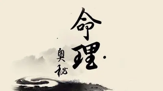 青山共风雨 宠爱老婆 一生平顺的命格 哔哩哔哩