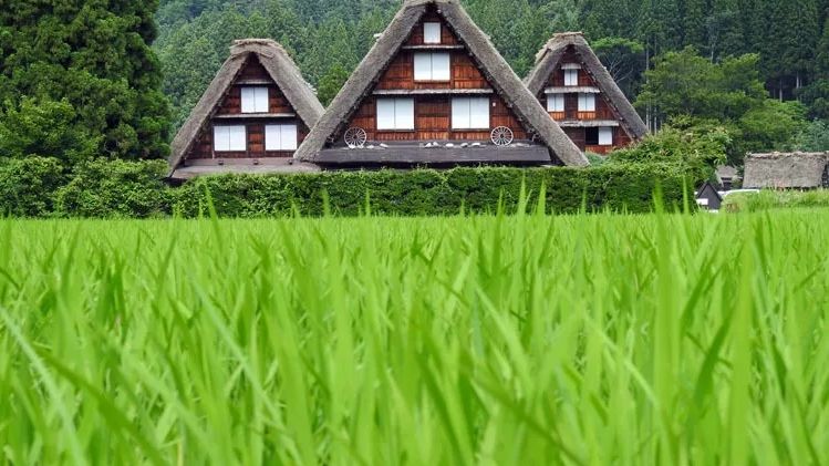 威廉酱 推荐 日本白川乡 白骨温泉 雪之大谷 日本北陆3日两夜温泉游 哔哩哔哩