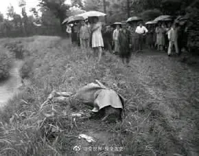 论太宰治的自杀生涯 哔哩哔哩