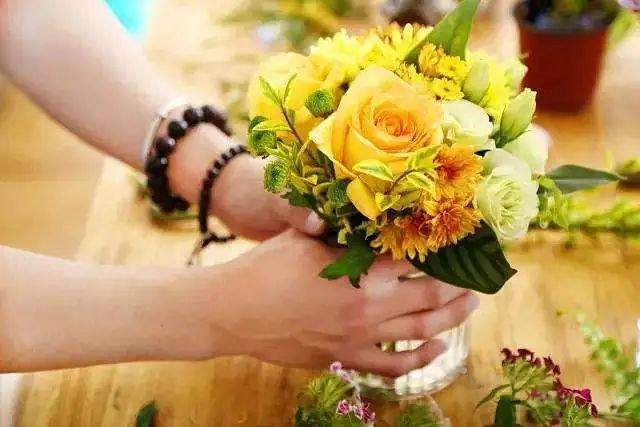 留学资讯_留学新闻_申请快讯-启德教德信官方网站育