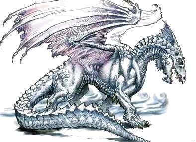 DND3R常见龙种图鉴（五色龙、金属龙篇）） - 哔哩哔哩