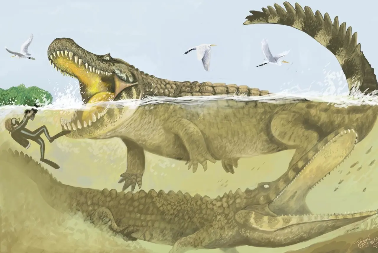 居维叶` S矮人凯门鳄Paleosuchus Palpebrosus 库存照片 - 图片 包括有 自然, 一个: 81810158